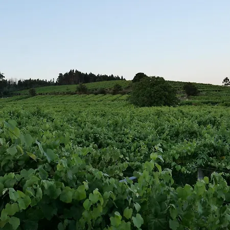 Casa Dos Maza * Cambados